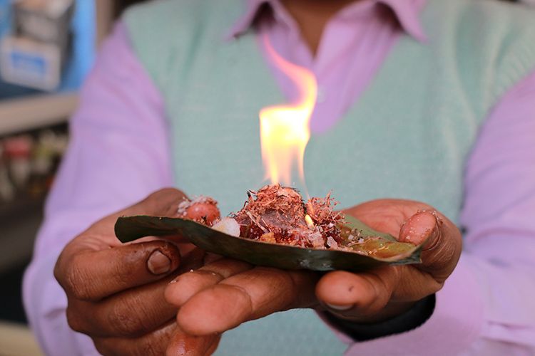 Premium Fire Pan or Killi Rent in Sangareddy for Birthday, Wedding, Corporate Events